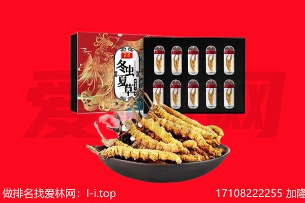 铜山区回收虫草.jpg
